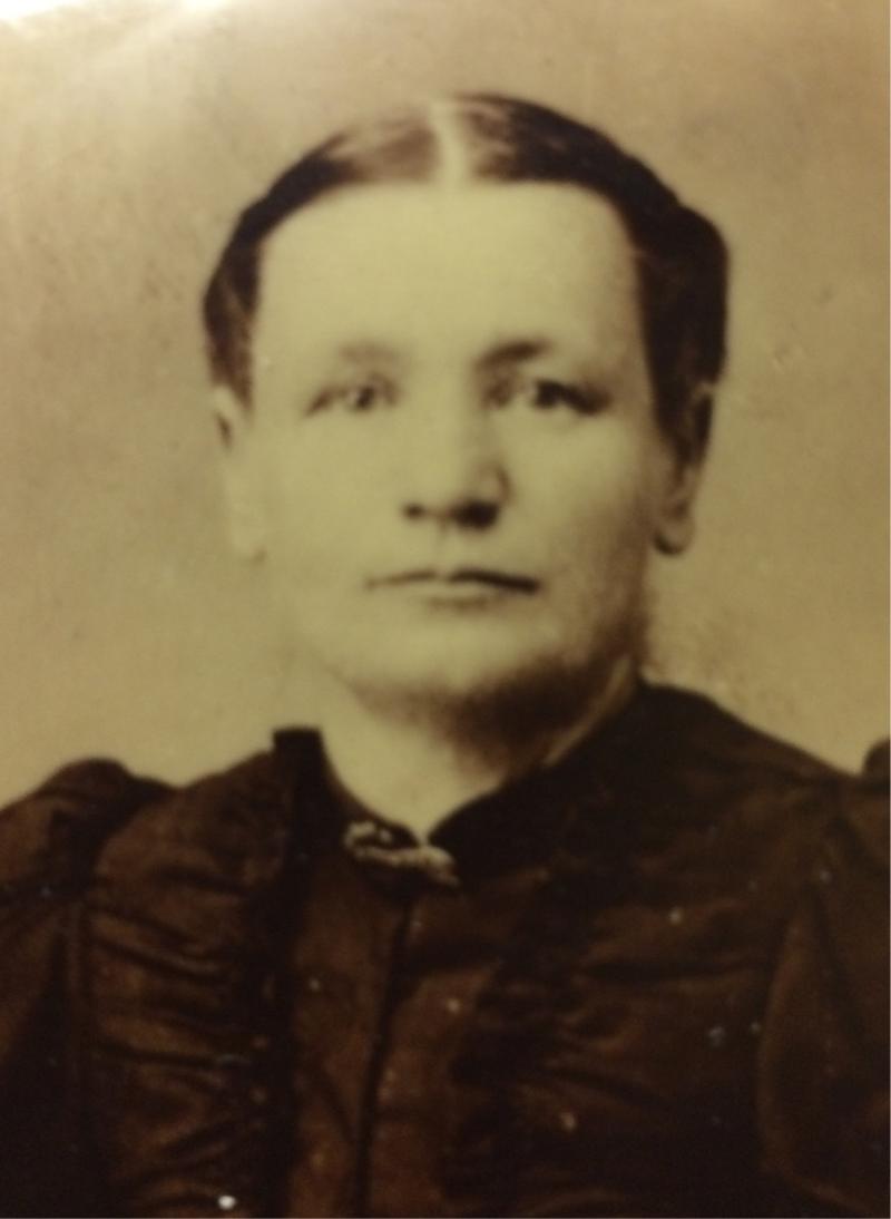 Phoebe Lloyd Williams (1849 - 1918) Profile